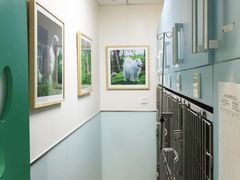 住院室内部-瑞派·关忠动物医院·猫专科·犬专科(三环新城店)