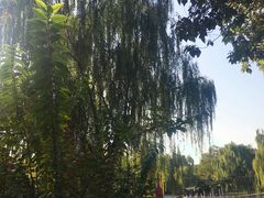 -丰台花园