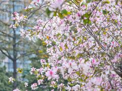 -文华公园(禅城区)