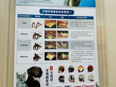 -瑞鹏宠物医院(大运分院)