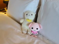 -惠州康帝国际酒店