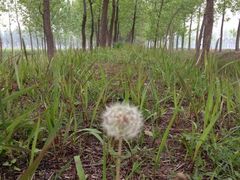 iphone_upload_pic-上海怡沁园度假酒店