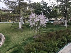 -西海子公园