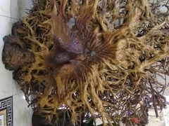 -普天和酒楼·新津菜·烤鸭(天津之眼店)