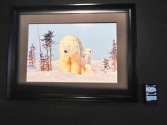 -罗红摄影艺术馆