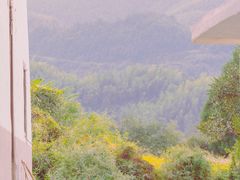 -萍乡武功山风景名胜区