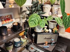 -Dogi&kiki Coffee(中心商务大厦店)