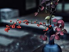 -苏州本色美术馆