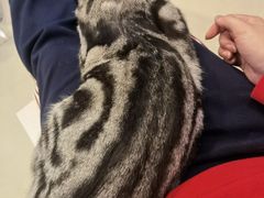 -平行世界·猫咖(首经贸店)