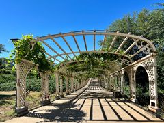 -北京张裕爱斐堡酒庄