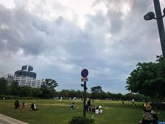 -九龙公园
