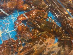 -新丁香海鲜酒店(银海商贸城店)