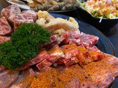 -熊出没日本烧肉放题