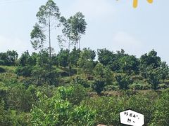 -新概念来凤鱼(璧山店)