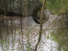 iphone_upload_pic-溱湖国家湿地公园