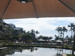 -亚龙湾希尔顿自助餐厅·海鲜·烧烤·沙滩BBQ·现场乐队
