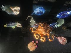 -同济大学四平路校区深海探索馆