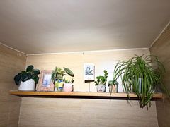 -懒人盐府人家(安贞店)