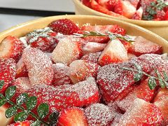 -蜜肆动物奶油蛋糕·个性定制·下午茶甜品