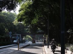 -小南山公园