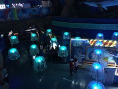 -烟台海昌鲸鲨海洋公园