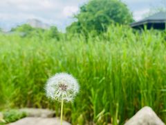 -白塘生态植物园