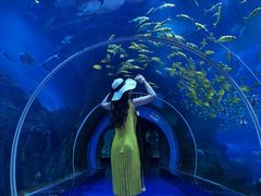 -威海华夏城景区