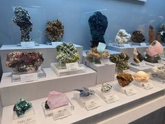 -湖南省地质博物馆