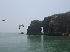-海驴岛(荣成市)