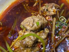 -易老妈蹄花.特色川菜(人民公园总店)