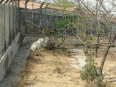 -石家庄市动物园