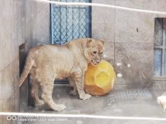 -西安秦岭野生动物园