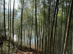 -浙东大峡谷风景区