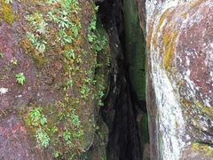 -武夷山风景名胜区-虎啸岩