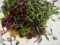 -红顶食府(滨湖九号店)