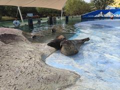 -北戴河圣蓝海洋公园