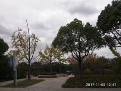 -新江湾城公园