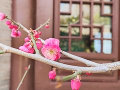 -趵突泉景区