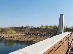 -马家湾湿地公园