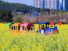 -光明小镇欢乐田园