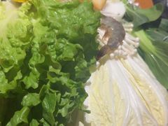 -呷哺呷哺 黄金牧场 (欢乐谷店)