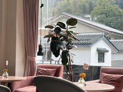 -简象咖啡CAFE ELE JANE(满陇桂雨店)