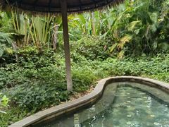 -碧桂园润杨溪谷温泉酒店