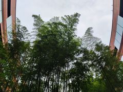 -上海衡山路十二号华邑酒店