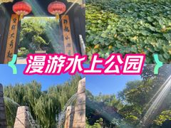 -天津水上公园