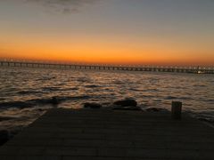 -宝安西湾红树林湿地公园