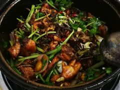 -清真重庆巴爷香辣鸡煲(南小巷店)