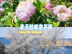 -IKEA宜家家居(南京商场)