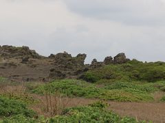 -龙坑生态保护区