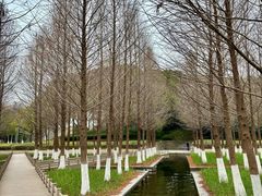 -泰州凤城河风景区-泰山公园